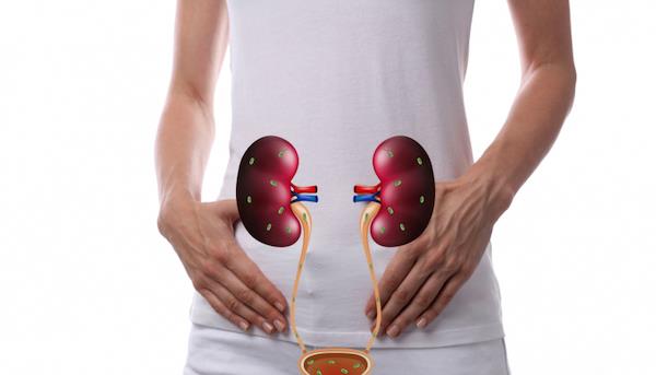 Things you need to know about Nephritis, pyelonephritis