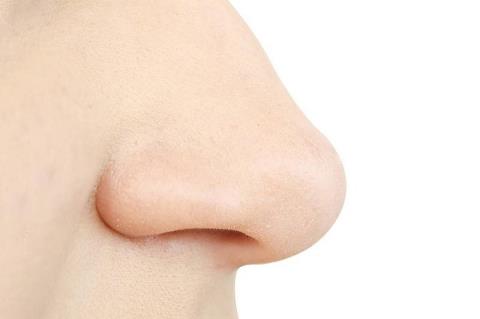 Struttura e funzione fisiologica del naso