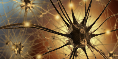 Primary lateral sclerosis: can it be completely cured?