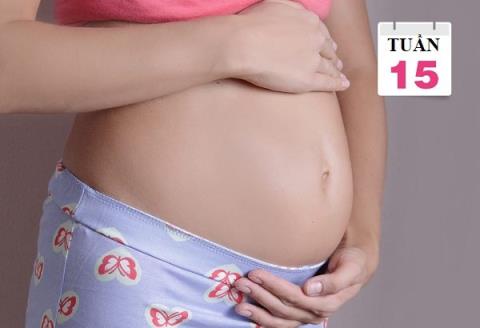 15 weeks pregnant: What should pregnant women pay attention to?