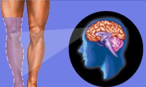 Phantom limb pain: Causes, diagnosis and treatment