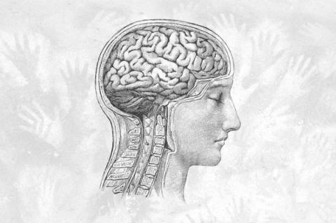 Tumor cerebral: ¿es realmente una enfermedad incurable?