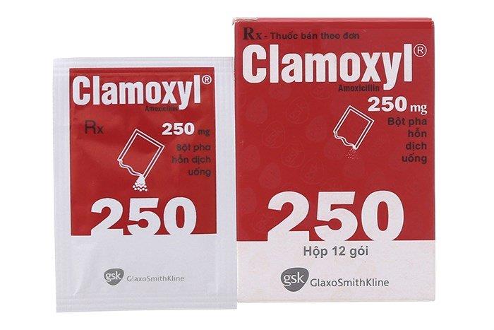 Apa yang anda perlu tahu tentang antibiotik Clamoxyl (amoxycillin)