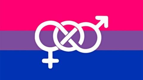 What is bisexual? Who is a bisexual?