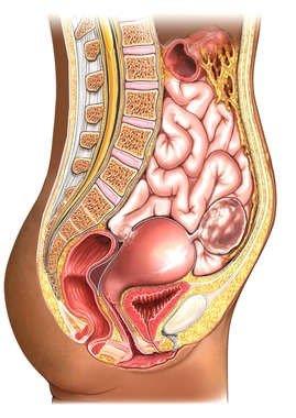 When does uterine fibroids become dangerous?