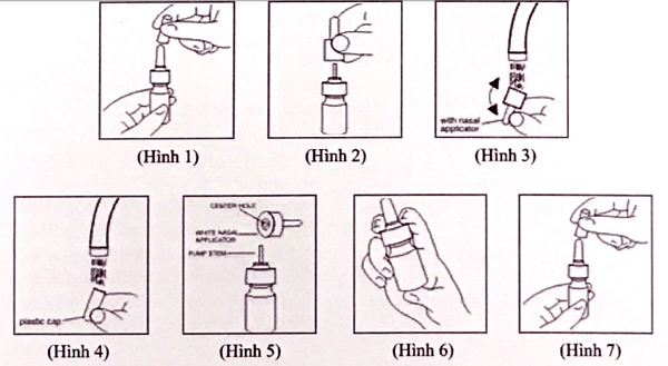 Tudo o que você precisa saber sobre Flusort spray nasal (propionato de fluticasona)