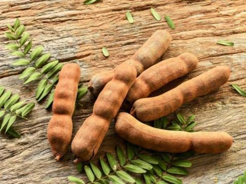Tamarind: Nutritional composition and health benefits