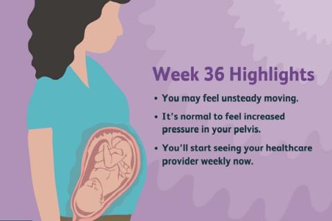 36 weeks pregnant: Pregnant women should take care of themselves more