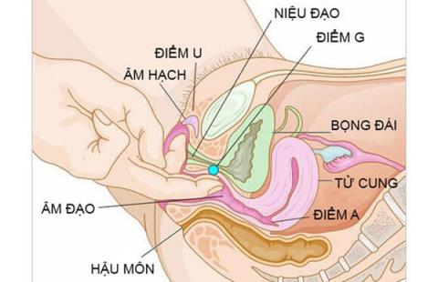 What is G-spot? Where is the female G-spot usually?