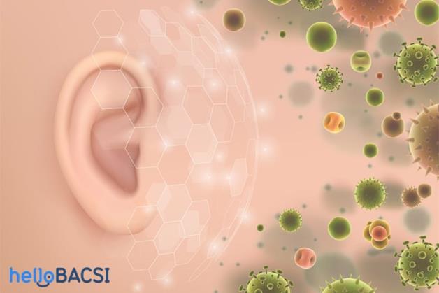 ¿Cuál es la causa de los hongos en los oídos? Síntomas y tratamientos efectivos.